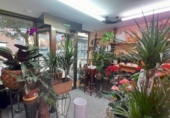 Local comercial en venta con 60m² en Valladolid, en la zona de Campo Grande, paseo zorrilla foto