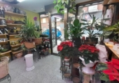 Local comercial en venta con 60m² en Valladolid, en la zona de Campo Grande, paseo zorrilla foto