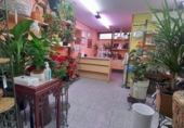 Local comercial en venta con 60m² en Valladolid, en la zona de Campo Grande, paseo zorrilla foto