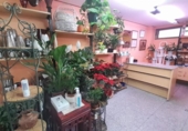 Local comercial en venta con 60m² en Valladolid, en la zona de Campo Grande, paseo zorrilla foto