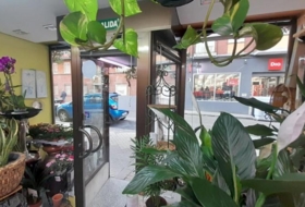 Foto 9