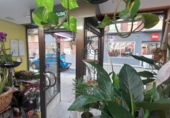 Local comercial en venta con 60m² en Valladolid, en la zona de Campo Grande, paseo zorrilla foto