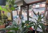 Local comercial en venta con 60m² en Valladolid, en la zona de Campo Grande, paseo zorrilla foto