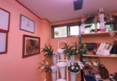 Local comercial en venta con 60m² en Valladolid, en la zona de Campo Grande, paseo zorrilla foto