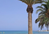 498m² building for sale in La Oliva, Calle La Red photo