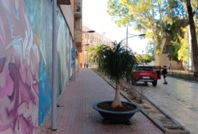 Foto 8