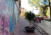 Cafeteria
en venda
amb 132m² a Múrcia, a la zona de El Carme, Calle Conde del Campillo foto
