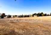 Nau Industrial
en venda
amb 4434m² a Elx, a la zona de L’Altet, Calle Carabela foto