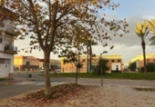 Local comercial
en venda
amb 65m² a Los Palacios y Villafranca, Avenida de la Comunidad Autónoma Canarias foto