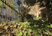 160m² commercial premises for sale in Valladolid, in the area of University photo
