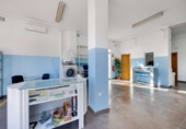  commercial premises for sale in Rojales, in the area of Ciudad Quesada photo
