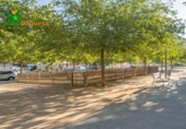 158m² commercial premises for sale in Granada, in the area of Campus, Avenida Ilustración photo