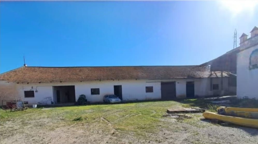 Nave
