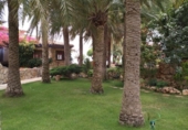 Local comercial Residencial en venta con 500m² en Calpe, Urbanización Canuta foto