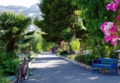 Local comercial Residencial en venta con 500m² en Calpe, Urbanización Canuta foto