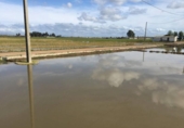  entrepôt industriel pour vente à Amposta, photo