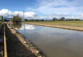  entrepôt industriel pour vente à Amposta, photo