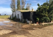  entrepôt industriel pour vente à Amposta, photo