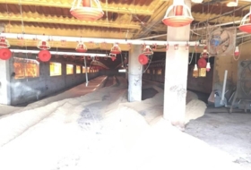 Foto 11