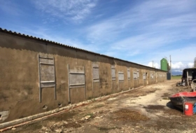 Foto 10