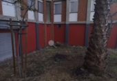 Local comercial en alquiler con 82m² en Santa Cruz de Tenerife foto