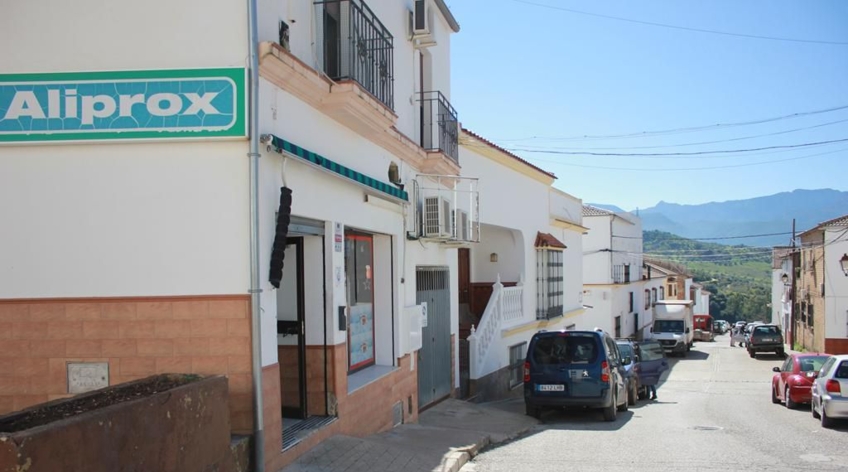 Local comercial