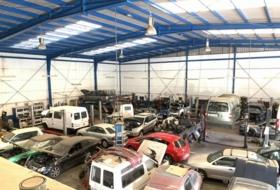 Foto 5