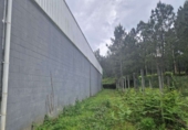 597m² entrepôt industriel pour vente à A Ramallosa photo