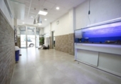 Local comercial en venta con 125m² en Elda, av. acacias foto