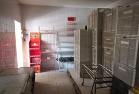 Foto 11