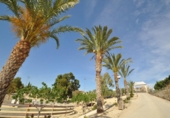 Restaurante en venta con 2442m² en Abanilla, Calle Tarquina foto
