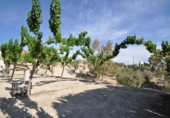 Restaurante en venta con 2442m² en Abanilla, Calle Tarquina foto