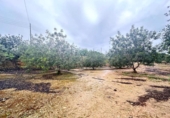 Nave en venta con 120m² en Palma, en la zona de es Camp Redó, Camí de Salva-Aigües de Camp-Redó foto