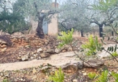 Nave en venta con 120m² en Palma, en la zona de es Camp Redó, Camí de Salva-Aigües de Camp-Redó foto