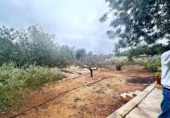 Nave en venta con 120m² en Palma, en la zona de es Camp Redó, Camí de Salva-Aigües de Camp-Redó foto