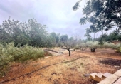 Nave en venta con 120m² en Palma, en la zona de es Camp Redó, Camí de Salva-Aigües de Camp-Redó foto