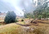 Nave en venta con 120m² en Palma, en la zona de es Camp Redó, Camí de Salva-Aigües de Camp-Redó foto