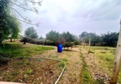 Nave en venta con 120m² en Palma, en la zona de es Camp Redó, Camí de Salva-Aigües de Camp-Redó foto