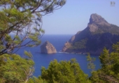 Restaurante en venta con 1400m² en Pollensa, Ma-2220 foto