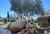 Hotel en venta con 1600m² en Castalla, Calle Central foto