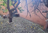 300m² entrepôt pour vente à Xérès photo