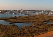 Local comercial en venta con 86m² en Ayamonte, Avenida de la Mojarra foto