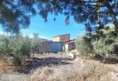 150m² entrepôt industriel pour vente à Arboleas, A-334 photo