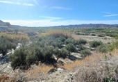 150m² entrepôt industriel pour vente à Arboleas, A-334 photo
