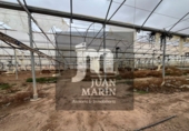 8144m² commercial premises for sale in Ontur photo