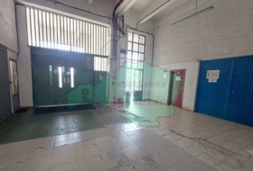 Foto 19