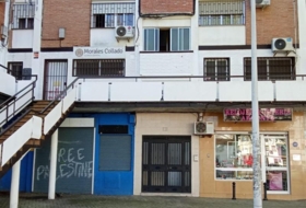 Foto 19