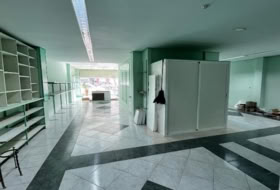 Foto 19
