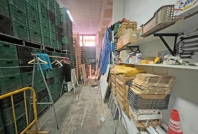 Foto 8