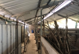 Foto 5